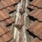 Roof Valleys